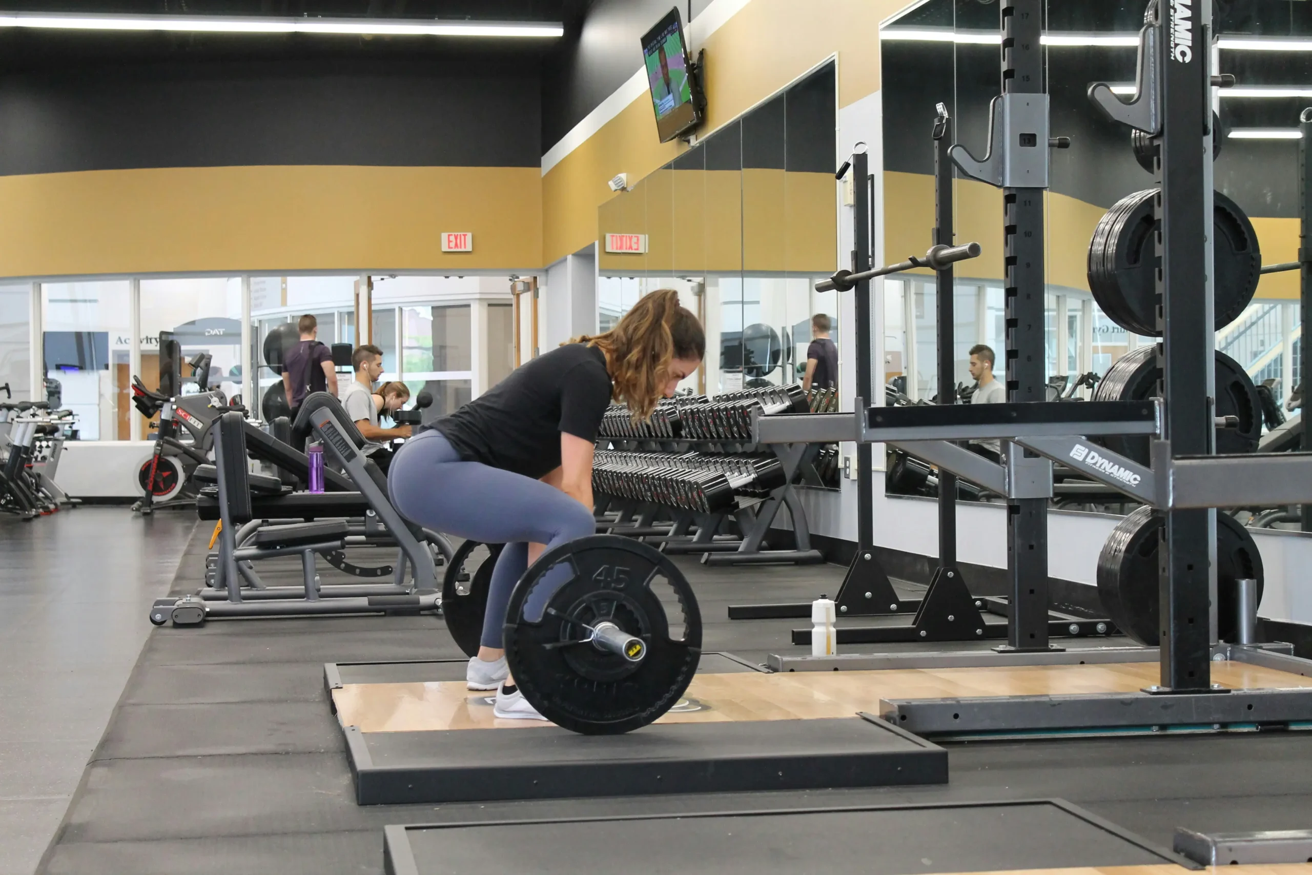 cable arm exercises mid-article image